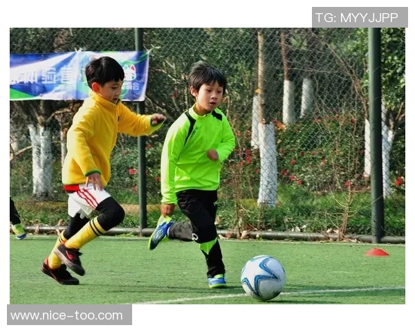 足球小球的魅力与技巧探讨让我们一起领略这项运动的无限乐趣与激情